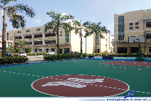 东莞韬略运动器材有限公司图片4