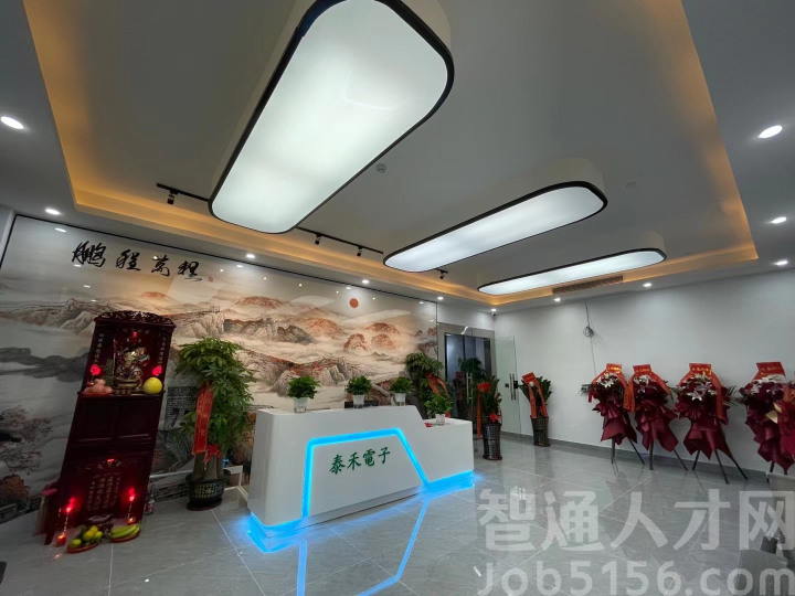 东莞市泰禾电子有限公司图片5