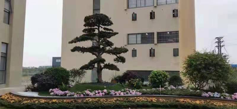 东莞市圣鼎源科技有限公司图片4
