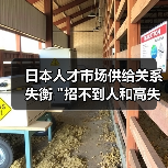 日本人才市场供给关系失衡 