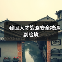 我国人才战略安全被逼到险境（图4）