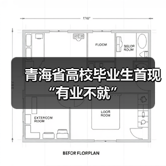 青海省高校毕业生首现“有业不就”（图4）
