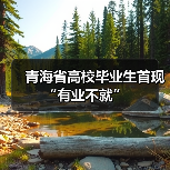 青海省高校毕业生首现“有业不就”（图1）