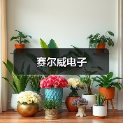 赛尔威电子（图3）