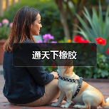 通天下橡胶（图2）