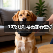 10招让领导更加器重你(图2) 10招让领导更加器重你(图2)