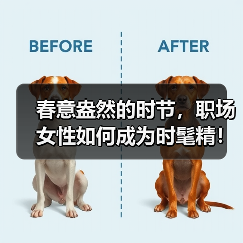 春意盎然的时节,职场女性如何成为时髦精!(图1) 春意盎然的时节,职场女性如何成为时髦精!(图1)