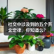 社交中涉及到的五个黄金定律，你知道么？（图4）
