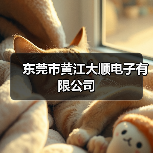 东莞市黄江大顺电子有限公司(图1) 东莞市黄江大顺电子有限公司(图1)