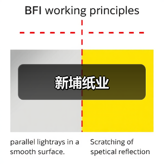 新埔纸业（图2）