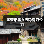东莞市星火齿轮有限公司(图4) 东莞市星火齿轮有限公司(图4)