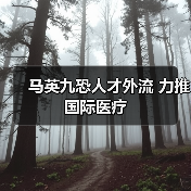 马英九恐人才外流 力推国际医疗（图3）