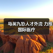 马英九恐人才外流 力推国际医疗（图2）