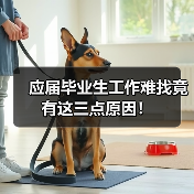 应届毕业生工作难找竟有这三点原因！（图4）