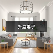 升威电子（图1）