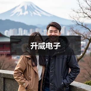 升威电子（图2）