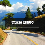 森本模具塑胶（图3）