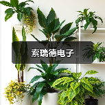 索瑞德电子（图2）