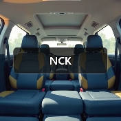 NCK（图2）