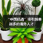 “中国机遇”吸引越来越多的海外人才(图1) “中国机遇”吸引越来越多的海外人才(图1)