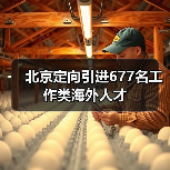 北京定向引进677名工作类海外人才（图4）