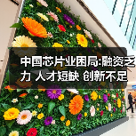 中国芯片业困局:融资乏力 人才短缺 创新不足(图1) 中国芯片业困局:融资乏力 人才短缺 创新不足(图1)