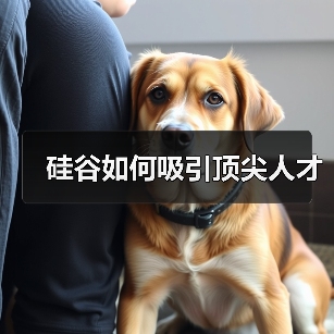 硅谷如何吸引顶尖人才（图4）