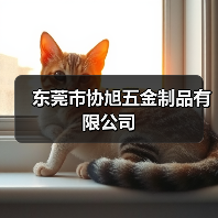 东莞市协旭五金制品有限公司(图3) 东莞市协旭五金制品有限公司(图3)