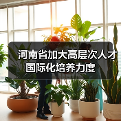 河南省加大高层次人才国际化培养力度(图4) 河南省加大高层次人才国际化培养力度(图4)