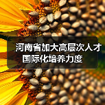 河南省加大高层次人才国际化培养力度(图2) 河南省加大高层次人才国际化培养力度(图2)