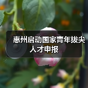 惠州启动国家青年拔尖人才申报（图1）