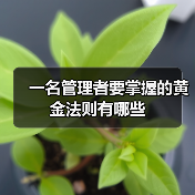 一名管理者要掌握的黄金法则有哪些（图4）