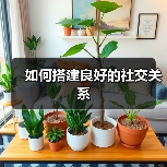 如何搭建良好的社交关系（图3）
