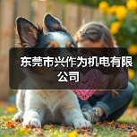 东莞市兴作为机电有限公司（图2）
