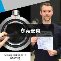 东莞安冉(图2) 东莞安冉(图2)