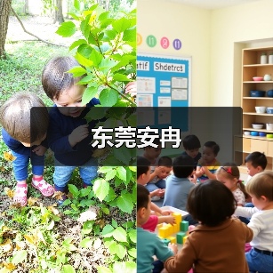 东莞安冉(图4) 东莞安冉(图4)