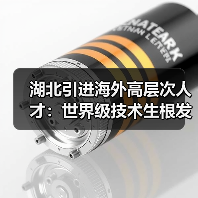 湖北引进海外高层次人才：世界级技术生根发芽（图2）