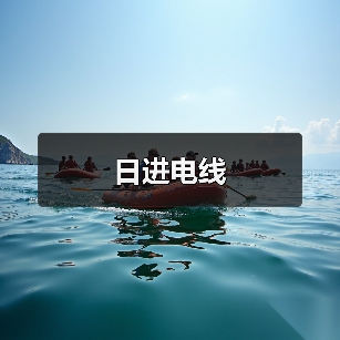 日进电线(图3) 日进电线(图3)