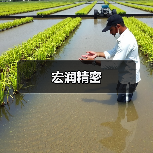 宏润精密（图1）