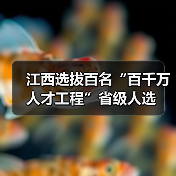 江西选拔百名“百千万人才工程”省级人选(图3) 江西选拔百名“百千万人才工程”省级人选(图3)