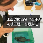 江西选拔百名“百千万人才工程”省级人选(图2) 江西选拔百名“百千万人才工程”省级人选(图2)