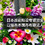 日本政府拟设专项资金 以培养本国乔布斯式人才(图2) 日本政府拟设专项资金 以培养本国乔布斯式人才(图2)