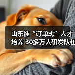 山东推“订单式”人才培养 30多万人研发队伍聚集企业（图4）