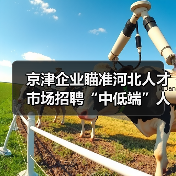 京津企业瞄准河北人才市场招聘“中低端”人才(图4) 京津企业瞄准河北人才市场招聘“中低端”人才(图4)