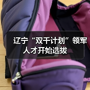 辽宁“双千计划”领军人才开始选拔(图3) 辽宁“双千计划”领军人才开始选拔(图3)