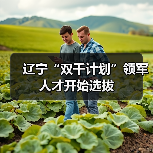 辽宁“双千计划”领军人才开始选拔(图4) 辽宁“双千计划”领军人才开始选拔(图4)
