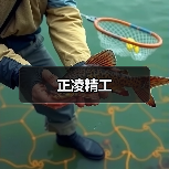 正凌精工(图2) 正凌精工(图2)