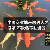 中国商业地产遭遇人才瓶颈 不缺钱不缺资源(图2) 中国商业地产遭遇人才瓶颈 不缺钱不缺资源(图2)