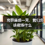 离职最后一天,我们应该做些什么(图2) 离职最后一天,我们应该做些什么(图2)