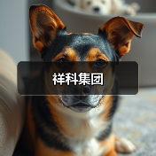 祥科集团（图4）